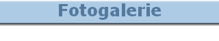 Fotogalerie